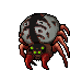Wailing Widow