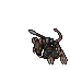 Corym Skirmisher