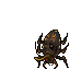 Mycobiontic Beetle